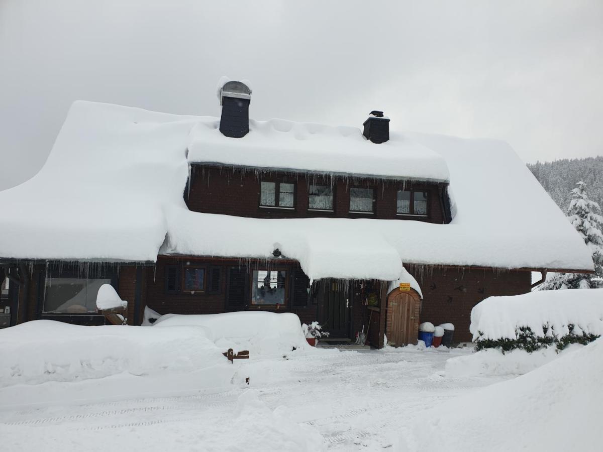 Am Sommerberg - Greschuk Apartments Feldberg  Extérieur photo