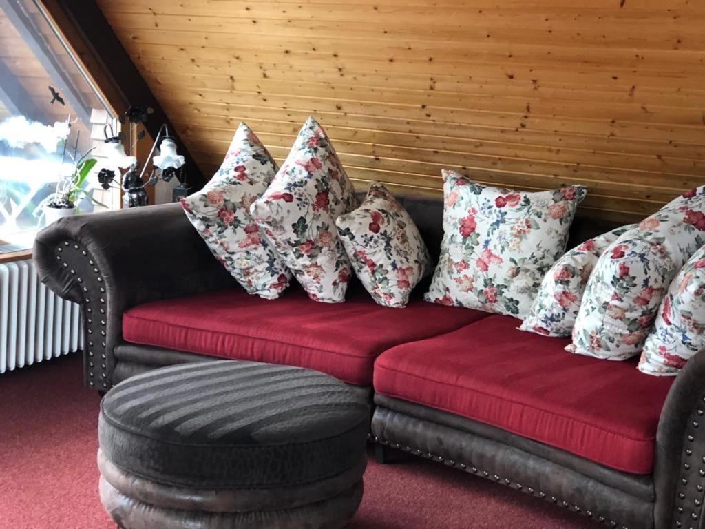 Am Sommerberg - Greschuk Apartments Feldberg  Extérieur photo