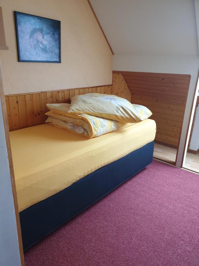 Am Sommerberg - Greschuk Apartments Feldberg  Extérieur photo