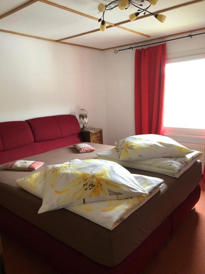 Am Sommerberg - Greschuk Apartments Feldberg  Extérieur photo