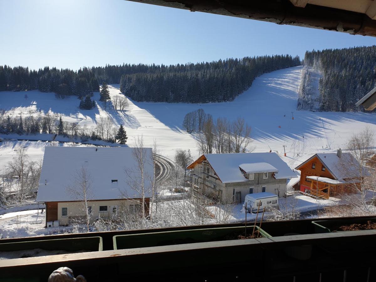 Am Sommerberg - Greschuk Apartments Feldberg  Extérieur photo