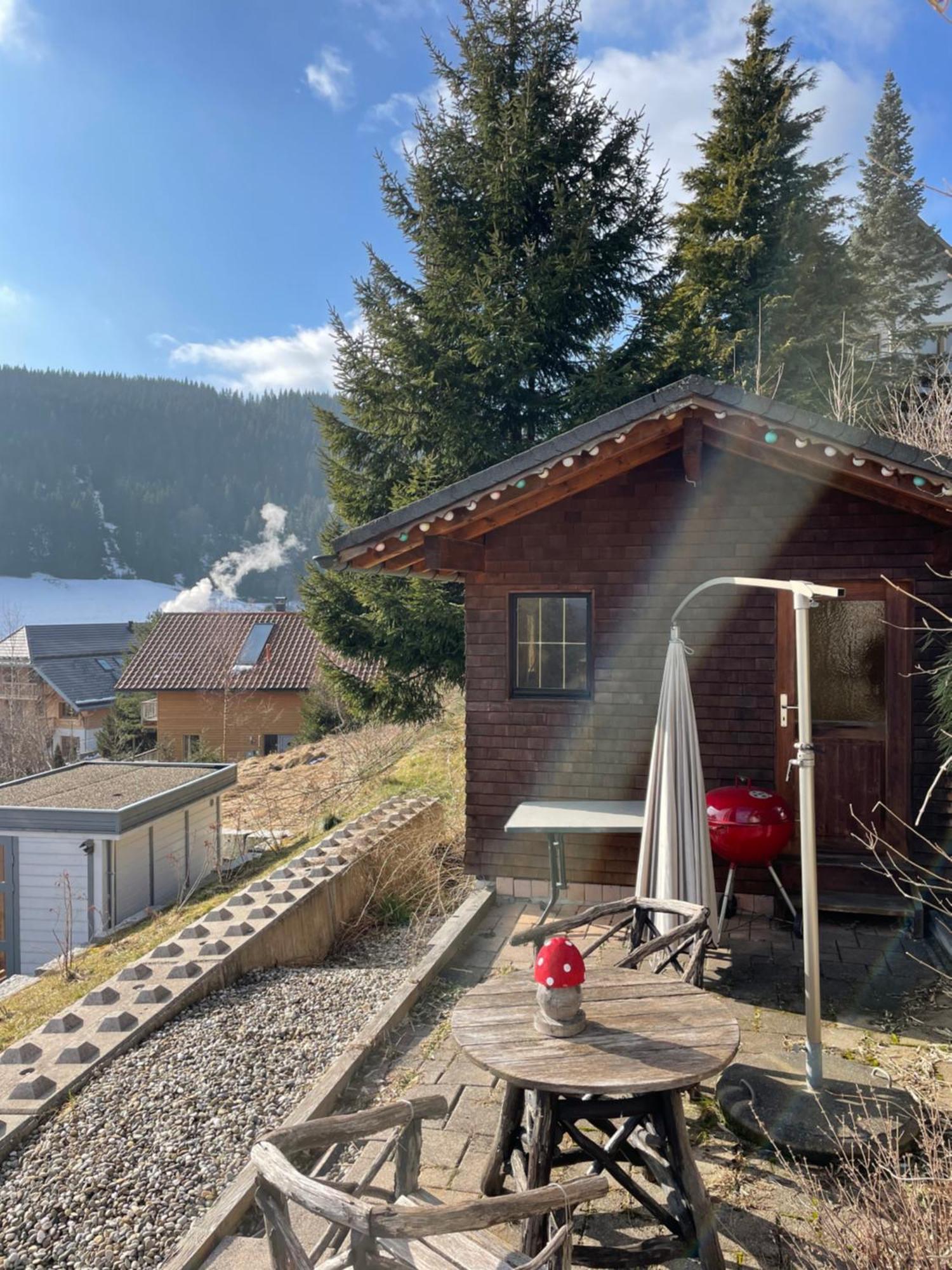 Am Sommerberg - Greschuk Apartments Feldberg  Extérieur photo